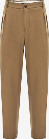 Antiochregular Hlače na crtu - smeđa boja: prednji dio