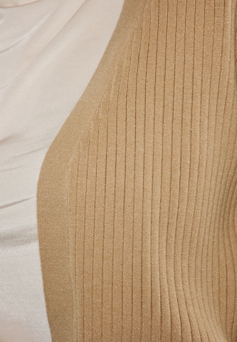 usha WHITE LABEL Pullover in Beige