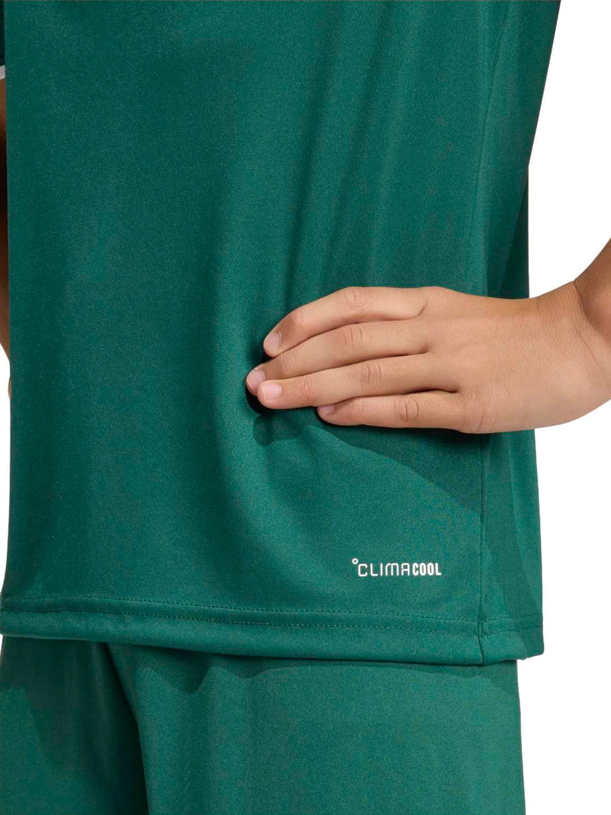 Tricou funcțional 'ENT26' de la ADIDAS PERFORMANCE pe verde