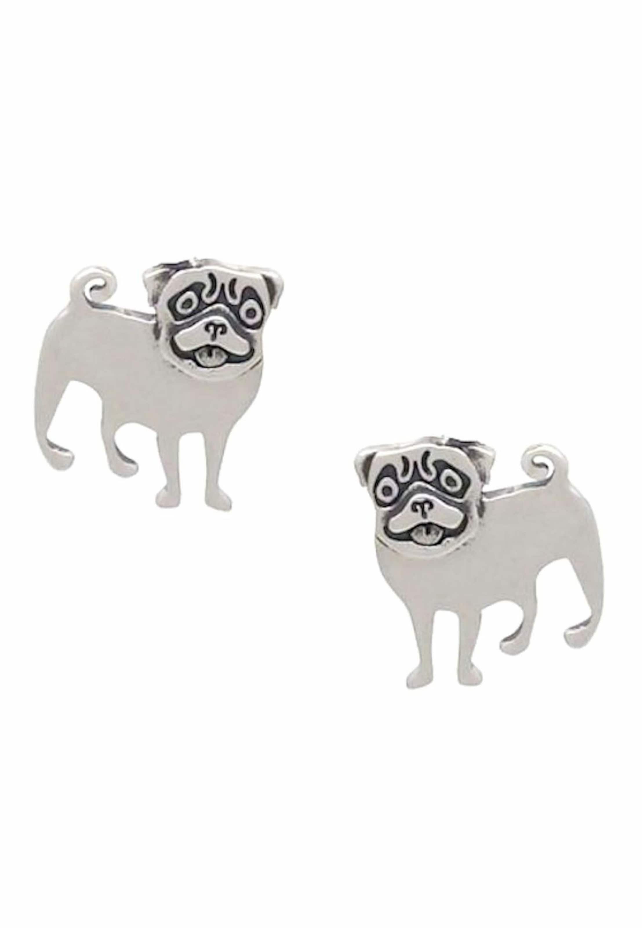 Gemshine Oorbellen in Zilver