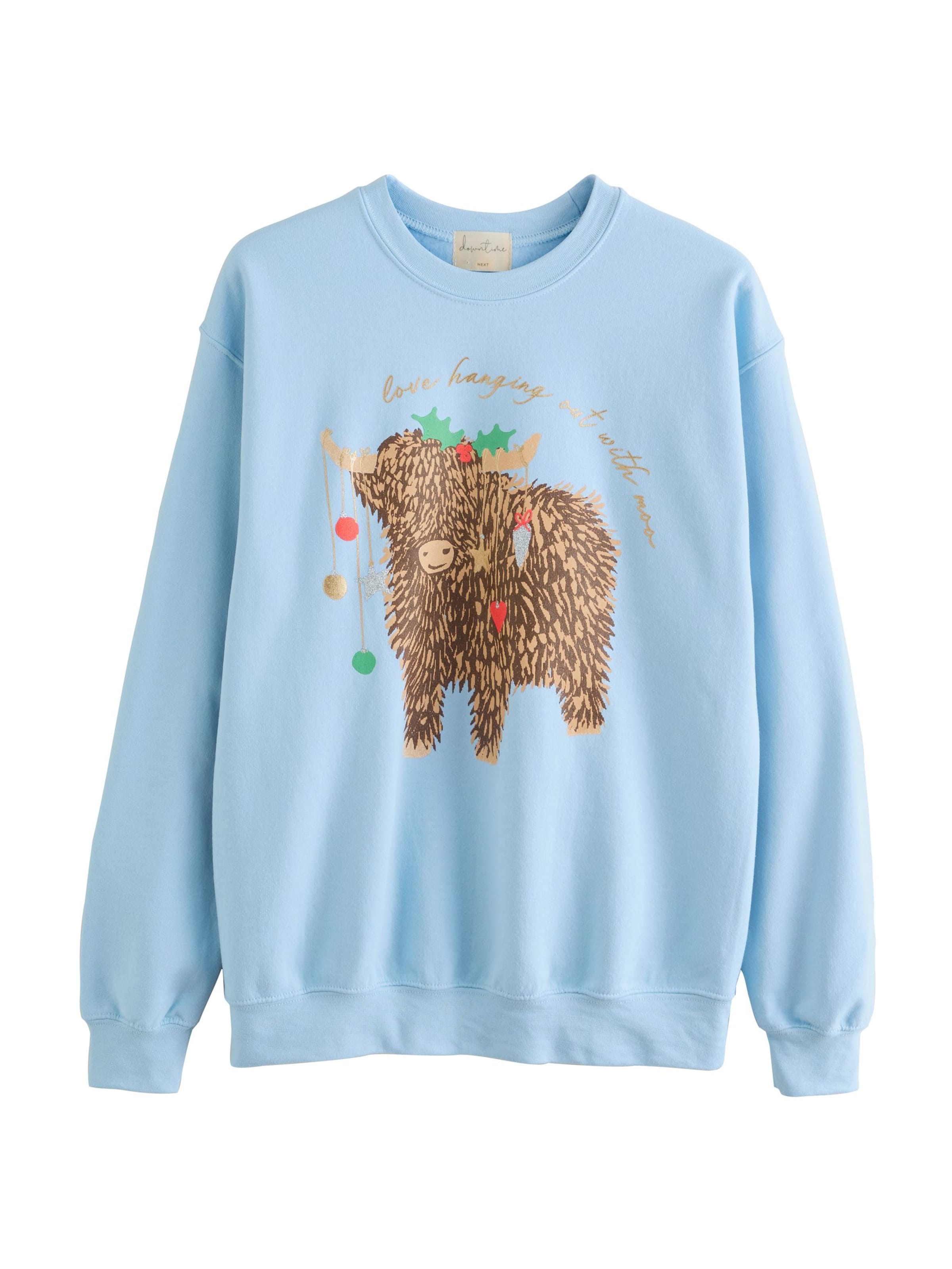 zils Next Sportisks džemperis: no priekšpuses