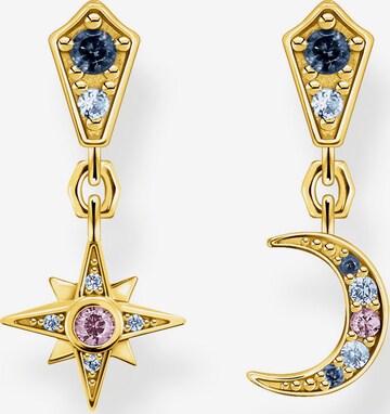 Thomas Sabo Earrings in Gold: front