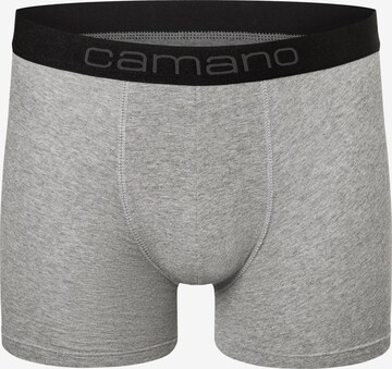 Boxers camano en gris