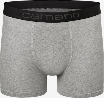 camano Boxer shorts in Grey