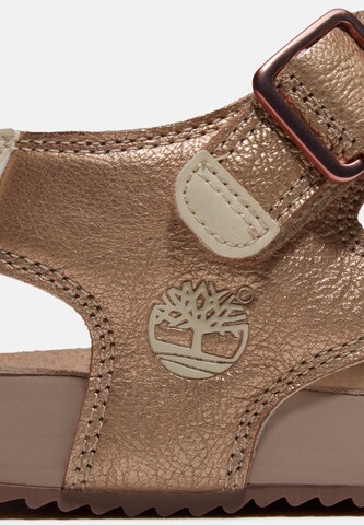 TIMBERLAND Sandal 'Backstrap Sandal' in Blue