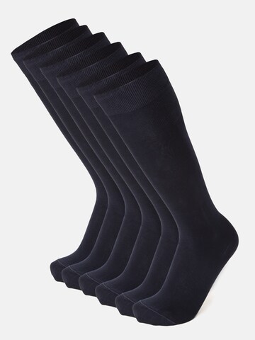 Ciocca Knee High Socks in Blue: front