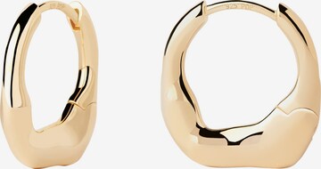 P D PAOLA Earrings in Gold: front