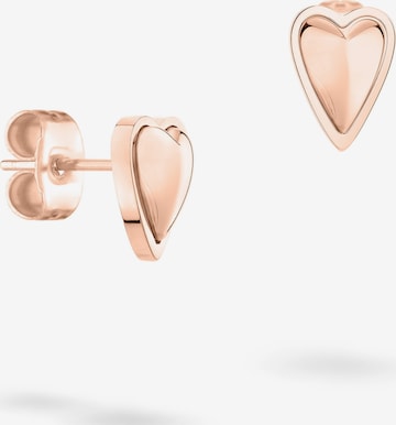 Liebeskind Berlin Earrings 'Heart' in Gold: front
