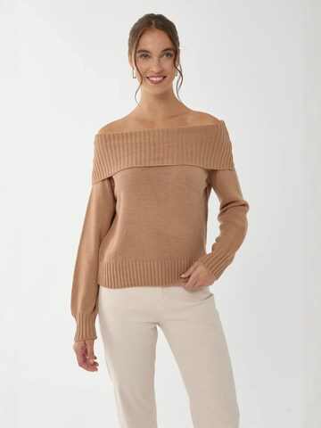 Hiccup Pullover 'Pullover'‌‌‌‌‌‌ in Braun: Vorderseite