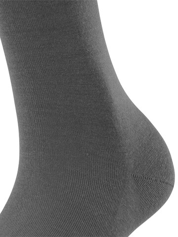 FALKE Knee High Socks 'Softmerino' in Grey