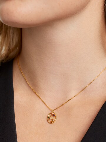 P D PAOLA Necklace in Gold