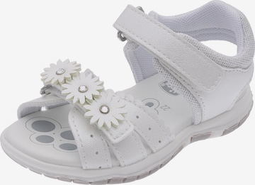 Chicco Sandaalit 'Felicia' värissä valkoinen: etupuoli