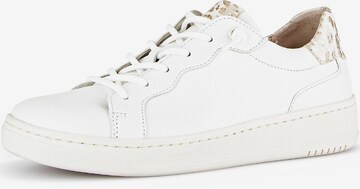 GABOR Sneakers in White: front