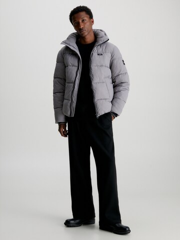 Veste d’hiver Calvin Klein en gris