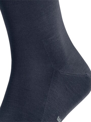 FALKE Socken 'Tiago'‌‌‌‌‌‌ in Blau