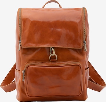 Viola Castellani Backpack in Brown: front