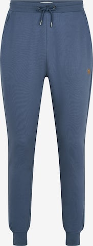 U.S. POLO ASSN. Kalhoty 'Terkel' – modrá: přední strana