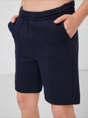Tommy Life Regular Pants in Blue