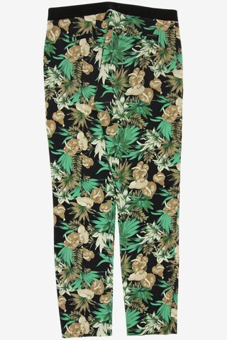 MAISON SCOTCH Pants in S in Green