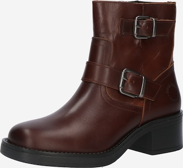 brūns Ca'Shott Klasiski zābaki 'RIKKE': no priekšpuses