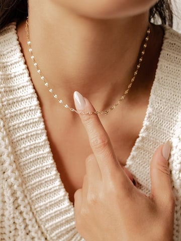 Hey Happiness - Cadena 'Rolo Choker' en oro