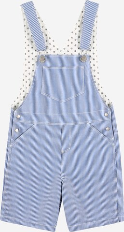 PETIT BATEAU Regular Overalls in Blue: front