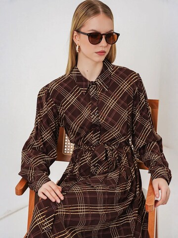 Bigdart Shirt Dress in Brown