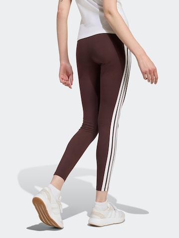 ADIDAS SPORTSWEAR - Skinny Pantalón deportivo 'Essentials' en marrón