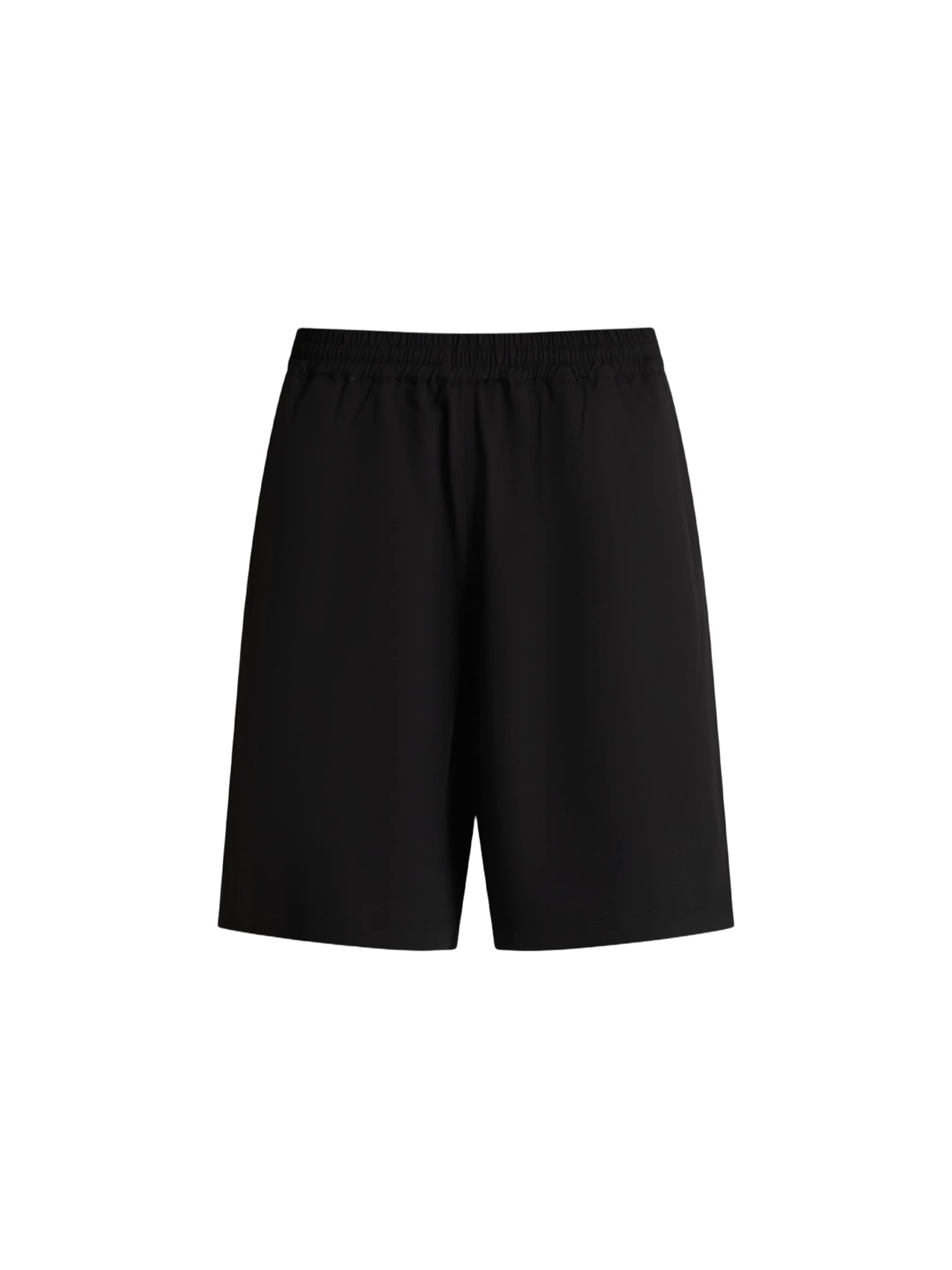 Bonsai Regular Pants in Black: front