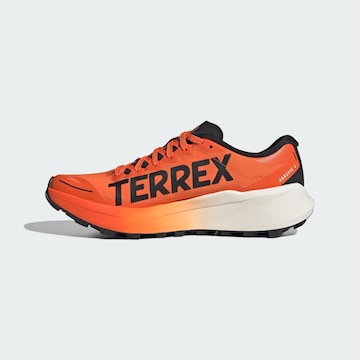 ADIDAS TERREX - Sapatilha de corrida 'Agravic 4' em laranja