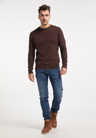 RAIDO Sweater in Brown