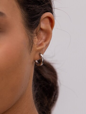 PURELEI Earrings 'Smooth' in Silver