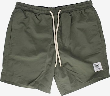 Surf Monkey Boardshorts in Grün: Vorderseite