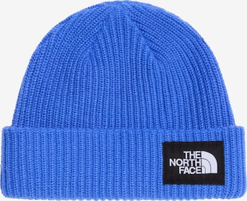 THE NORTH FACE New > Fashion > Frauen > Accessoires > Mütze > Mütze in Blau: Vorderseite
