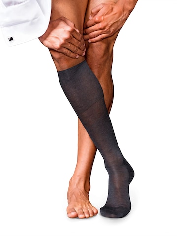 FALKE Kniestrümpfe 'No. 9 Pure Fil d´Écosse' in Grau: Vorderseite