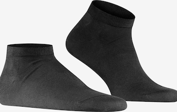 FALKE Socks 'Cool 24/7' in Black: front