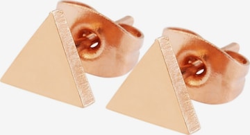 Akzent Earrings 'Talvi, langlebig' in Gold: front
