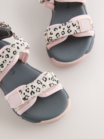 Sandales Next en mélange de couleurs