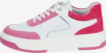 Nero Giardini Sneaker in Pink