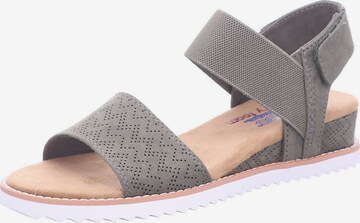 SKECHERS Strap Sandals 'Desert Kiss' in Grey: front