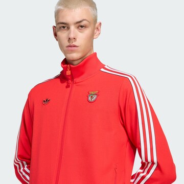 ADIDAS ORIGINALS Sportsweatjacke 'Benfica Lissabon Terrace' in Rot