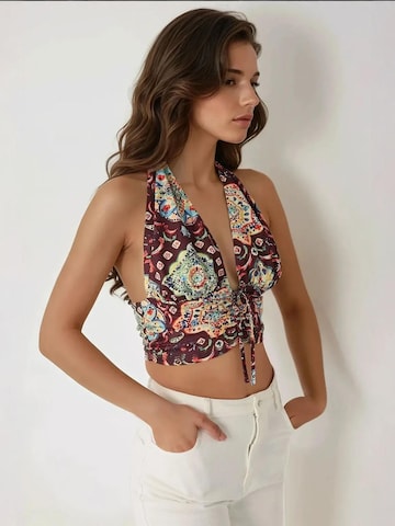 Hiccup Top in Mixed colors