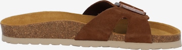 Palado Muiltjes 'Palado Tinos Premium Leather' in Bruin