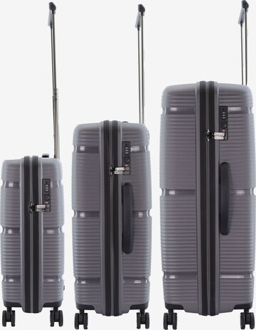Saxoline Suitcase Set in Grey