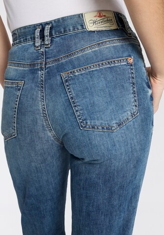 Herrlicher Regular Jeans in Blau