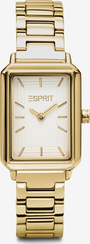 ESPRIT Analoguhr in Gold: predná strana