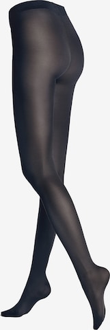 Hudson Feinstrumpfhose 'Simply' in Blau: Vorderseite