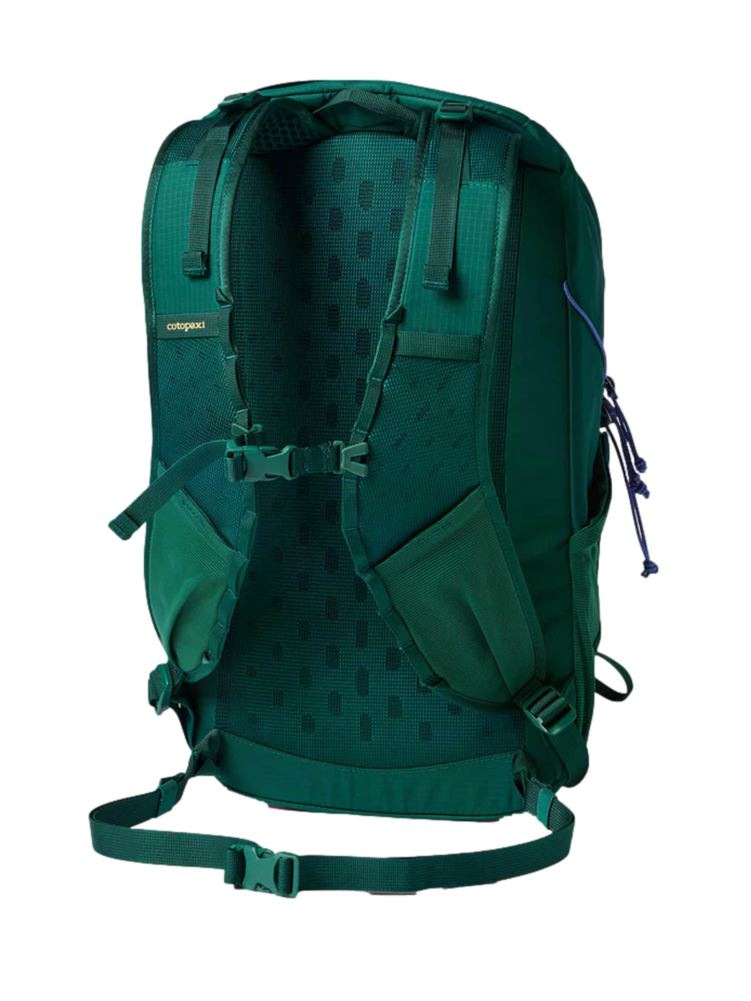 cotopaxi Rucksack 'Elqui' in Grün