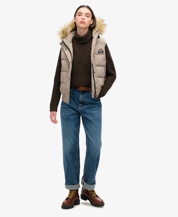 Superdry Bodywarmer in Beige