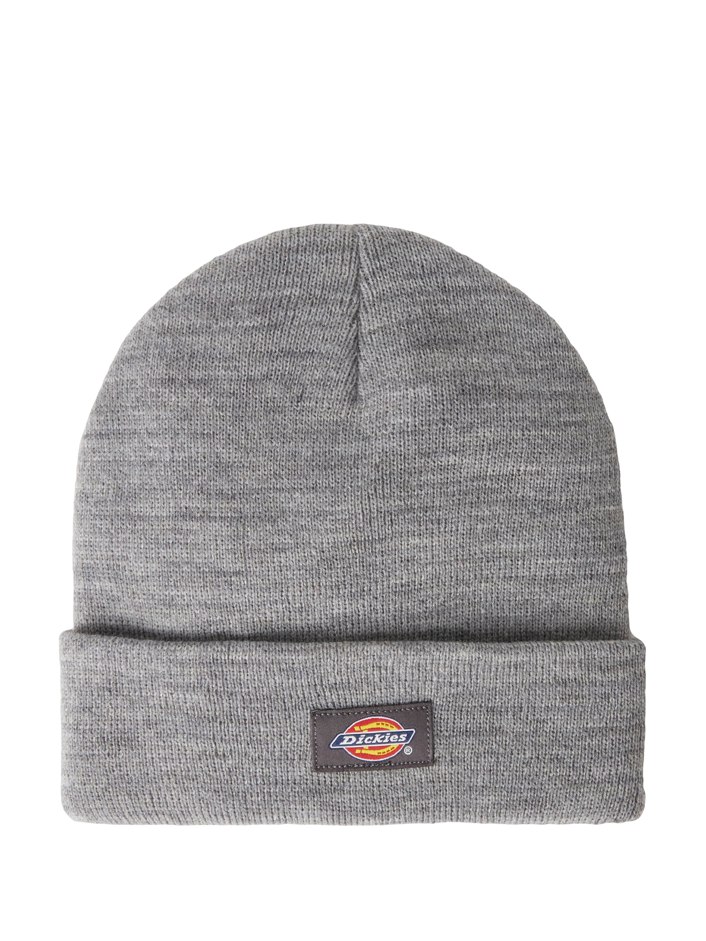 DICKIES Müts, värv hall: eest vaates
